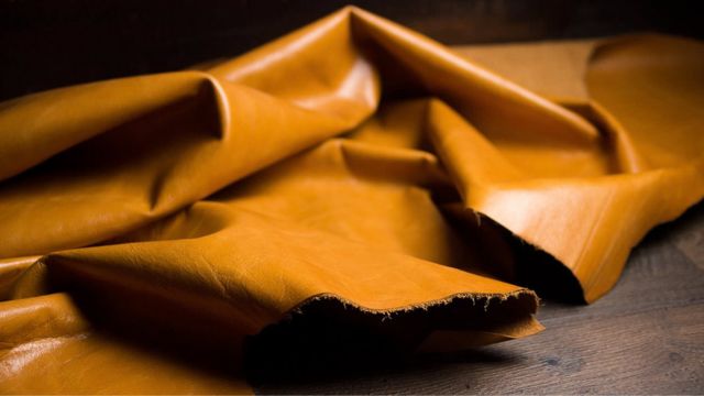 美麗皮革的開始