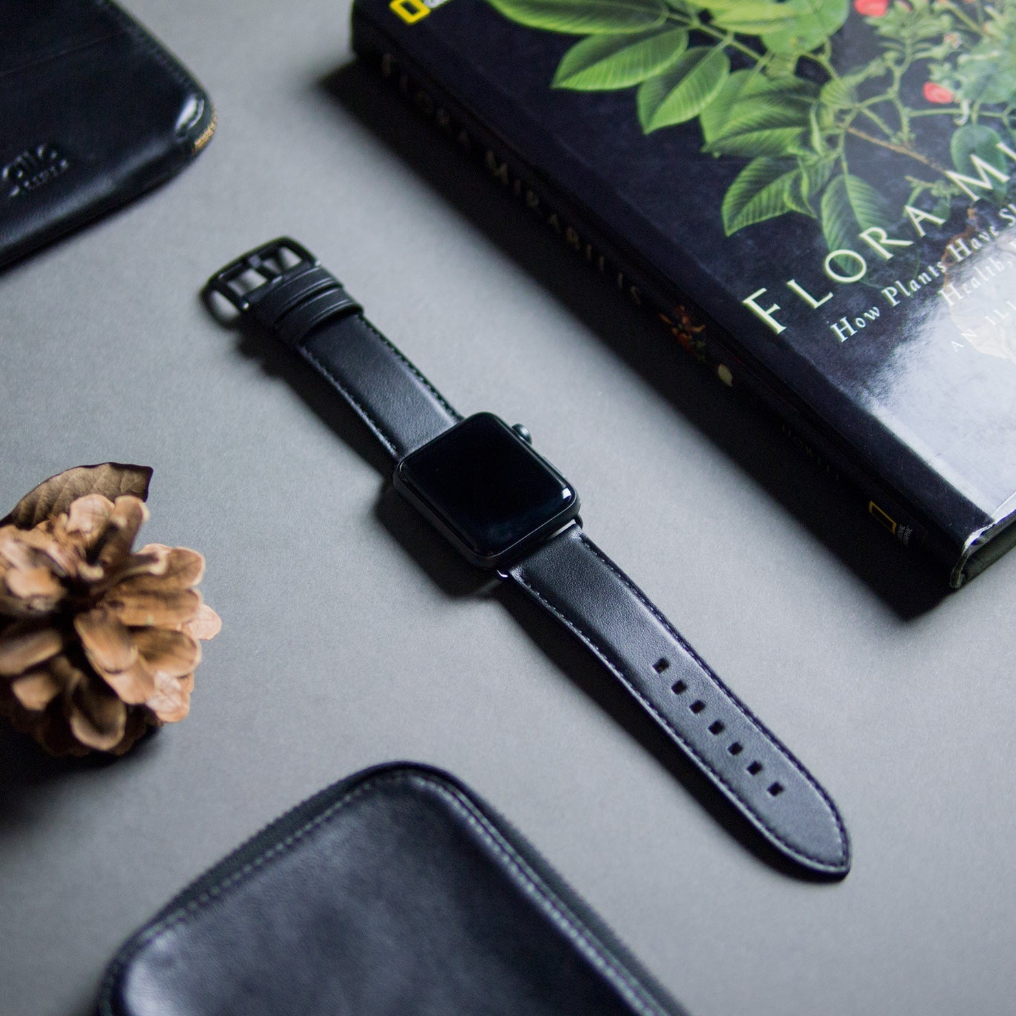 惜福品 - Apple Watch 皮革錶帶 - 44-49mm - 渡鴉黑